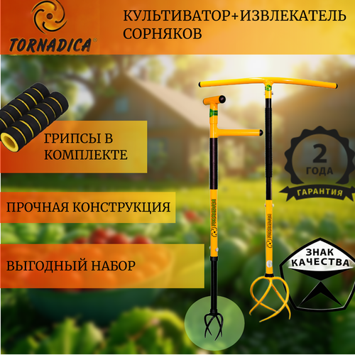 ���������� �������� ��������� (Tornadica) ����������� � �������� � ����������� ��������