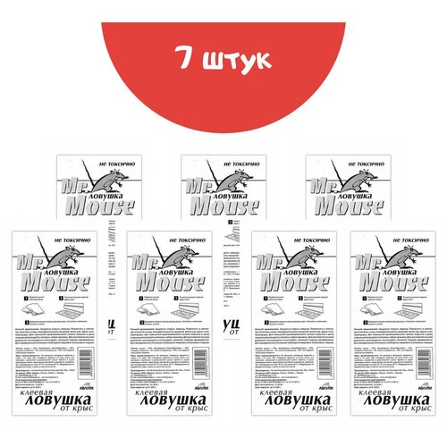 ���������� ������� ������� �� ���� � ����� Mr.Mouse 7 �������