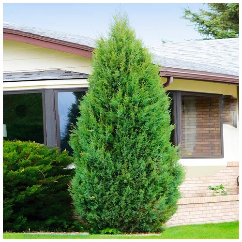 ���������� ������ ��������� ������������ ���������� �������, 20 ��