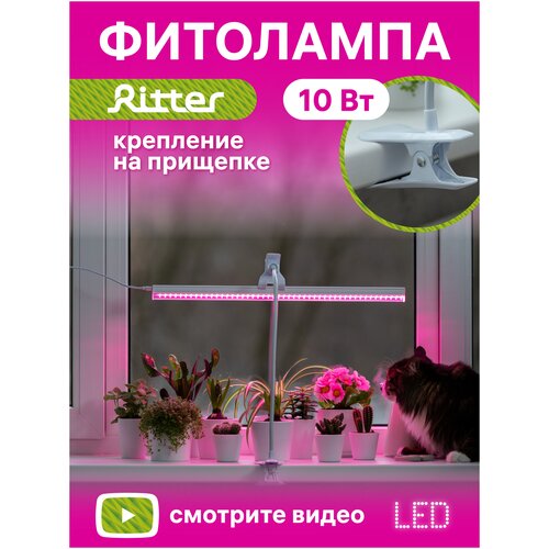        Ritter 56304 4, 10, 5722132. C 5 LED ,  , .  ,  2.   , -, 