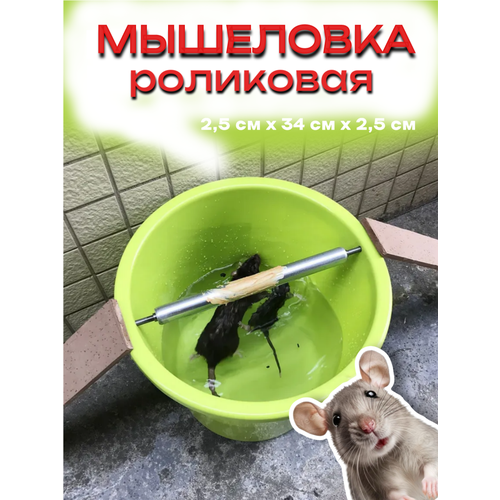 ���������� ���������, ��� ����� � ����, ��������, �����������, ������, 2,5�� x 34�� x 2,5��