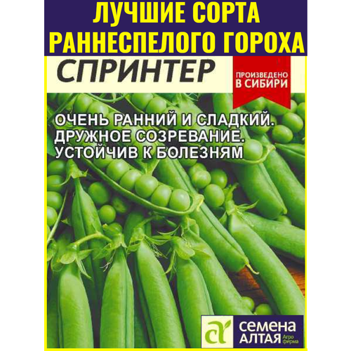 ���������� ������ ����� ��������