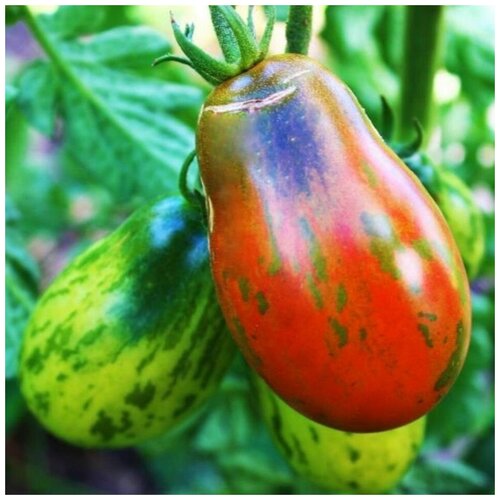 ���������� ������ ������ ����� ���� ������� �������� 10 ��.