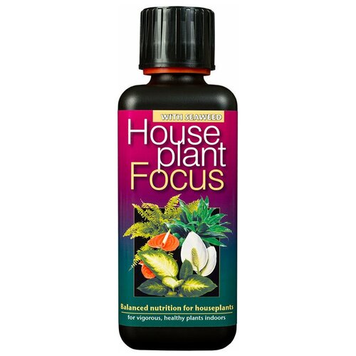     Houseplant Focus  300   , -, 