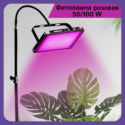 ���������� ��������� ����� ��� �������� ������� ����������������� 100 ��