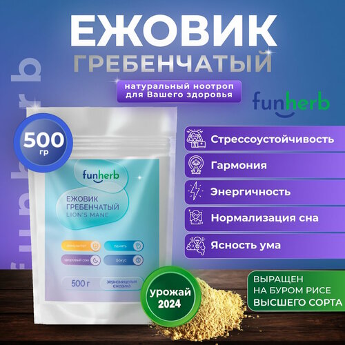 ���������� ������ ����������� �������� ���, ������� ������, ���������