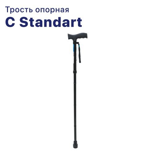 C Standart      -   ()  ,       , -, 