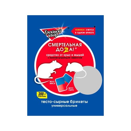 ���������� �����-������ ������� �� ���� � ����� 200�. ���� ���� � ����.