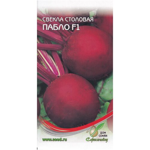 ���������� ������ ����� F1, 100 �����