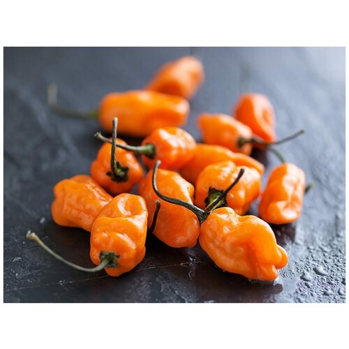       (. Habanero Pepper Orange)  5