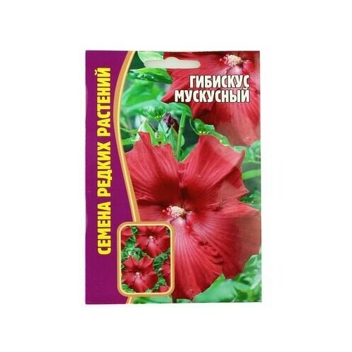 ���������� ������ ��������� ���������� (5 �����)