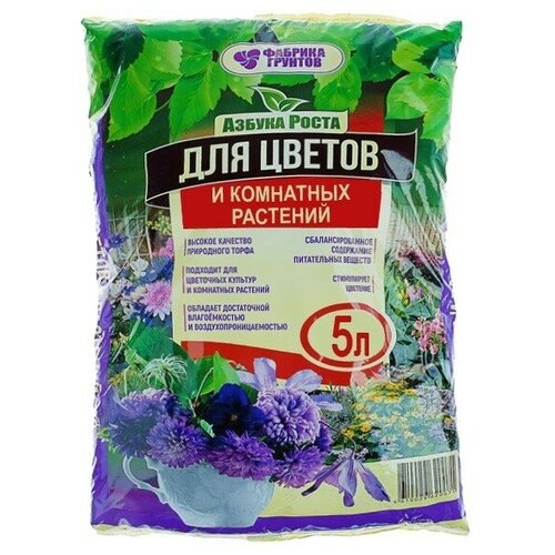 ���������� ���������� 5� 