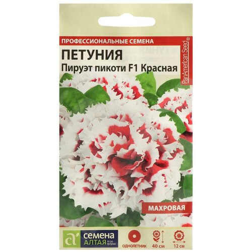 ���������� ������ ������ ������� 