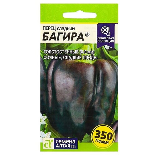 ���������� ������ ����� 