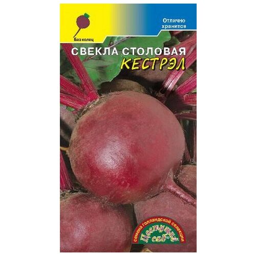 ���������� ������ ������ ������� F1 25�� �������� (�������� ���)