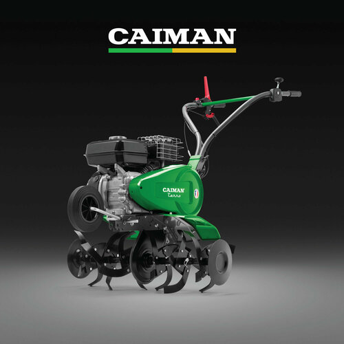   CAIMAN TERRO 60H C2, 4.48 ..   , -, 