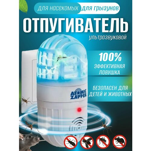 ���������� ������������ �������������� �� ��������� � �����