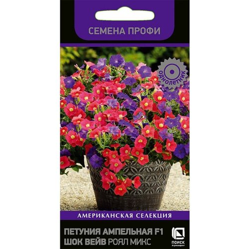 ���������� ������ ������� 