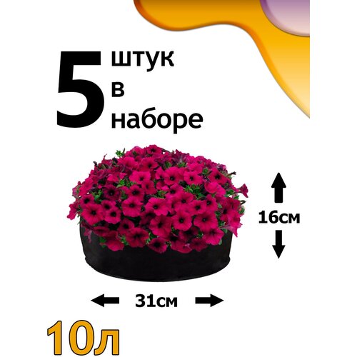 ���������� ������ ���� 10� - 5��