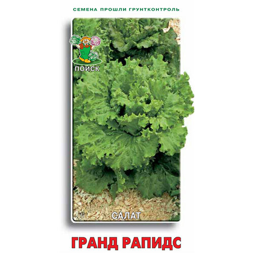 ���������� ����� ����� ������ 1��. (�����)