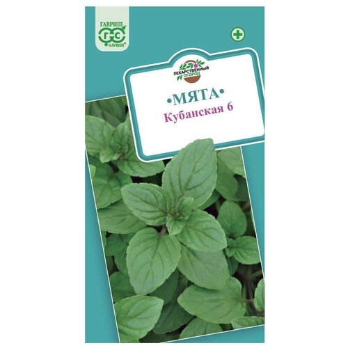 ���������� ������ ������ ���� ��������� 6