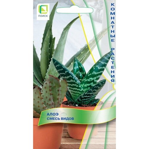 ���������� ���� ���� ����� (10 �����)