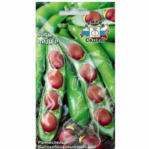 ���������� ������ ���� ����� (�����) 10�