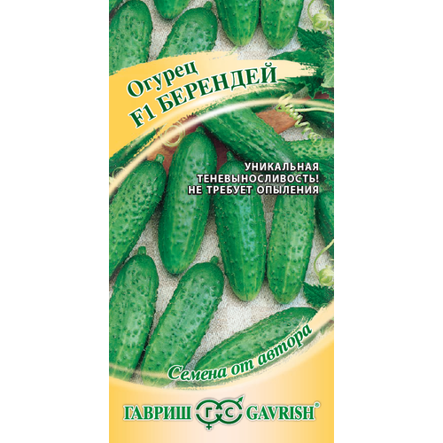 ���������� ������ ������ �������� F1 10�� ������������������ ������ (������) �����