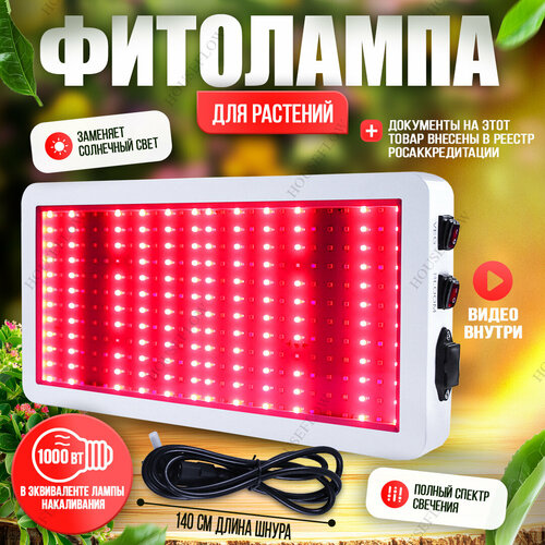 ���������� ��������� 1000 ���� ��� ����������� ��������, �������, ��������� ������ - ������ ������