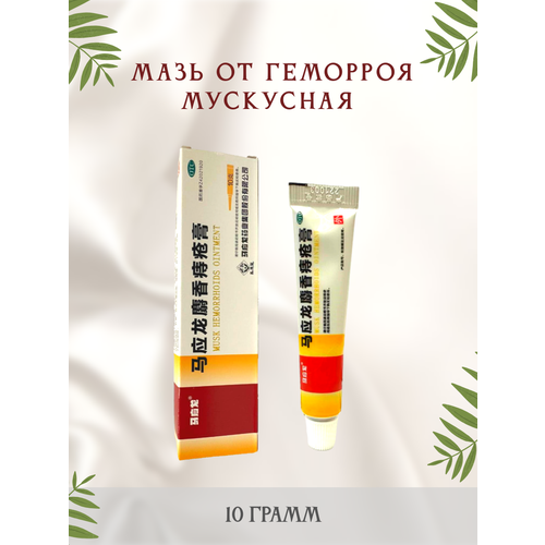 ���������� ��������� ��������� ���� �� �������� � ������ 10 �����