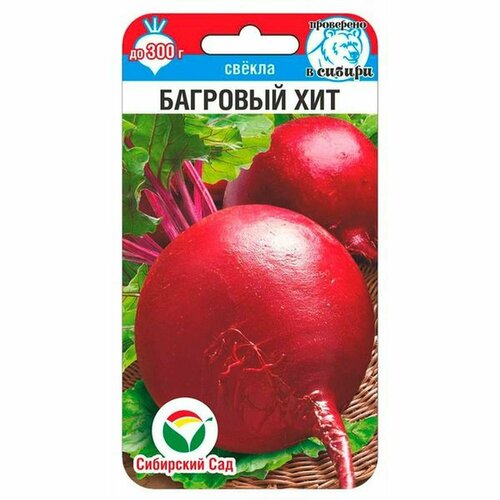 ���������� ������ ������ �������� ��� 2� (��������� ���)