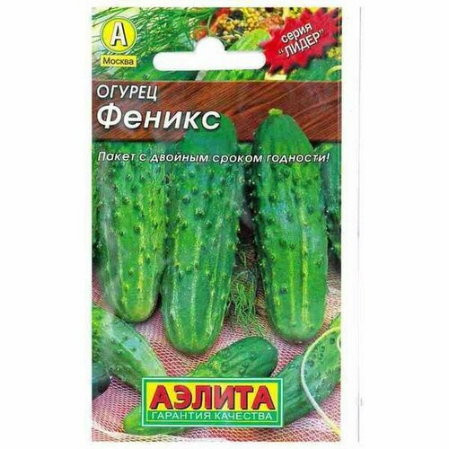 ���������� ������ ������ ������ (������) 20��