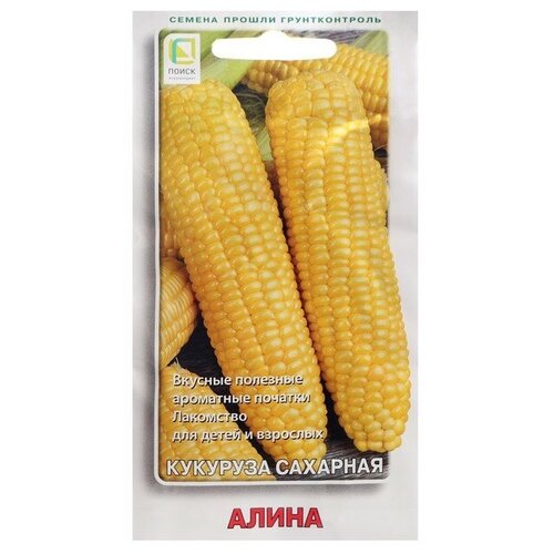 ���������� ������ �������� �������� 