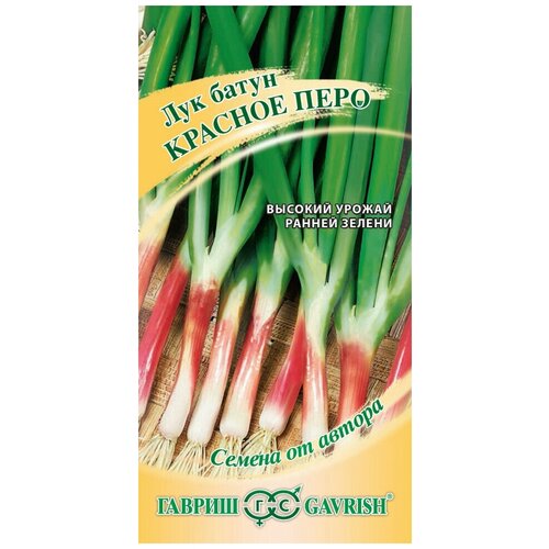 ���������� ������ ��� ����� ������� ����, 0,5�, ������, ������ �� ������, 10 ��������