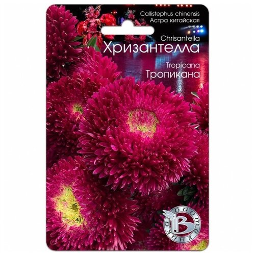 ���������� ������ ����� ��������� 