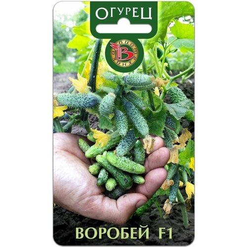 ���������� ������ ������ ������� 10�� �� ������ (����������)