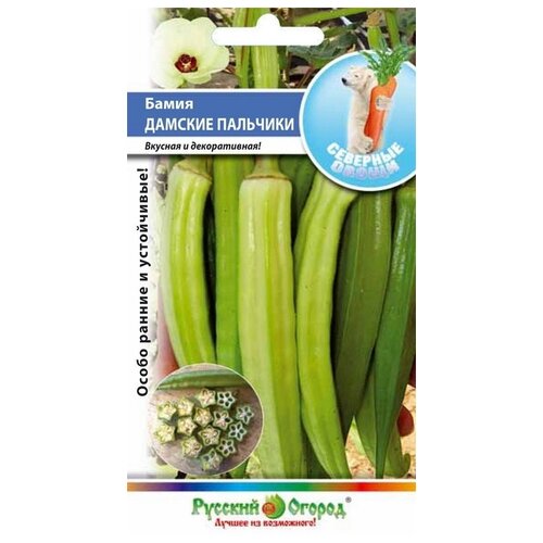 ���������� ������ ������� ������ �������� ����� ����� ������� ��������, 10 ��