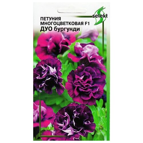 ���������� ������� �������� �������������� F1 ���, ��������, 10 �����