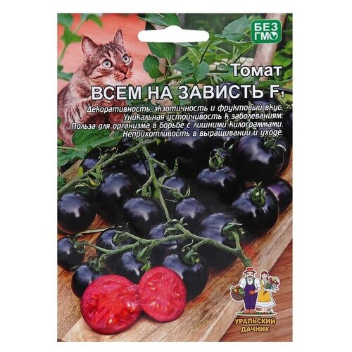 ���������� ������ ����� 