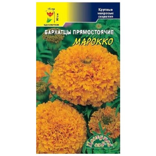 ���������� ������ �������� ��� 