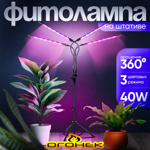 ���������� ���� ����� ��� �������� � �������� �� ������� ������ OG-LDP07