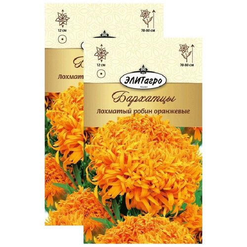 ���������� �������� �������� ����� ��������� (0,2 �), 2 ������