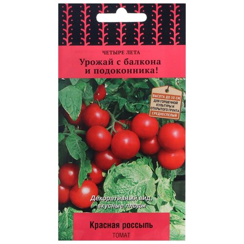 ���������� ������ ����� ������ ���� ����� ������� ������� 5 ��.