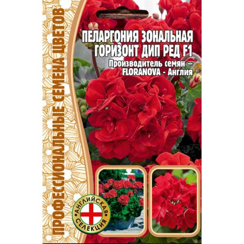 ���������� ������ ���������� ��������� 