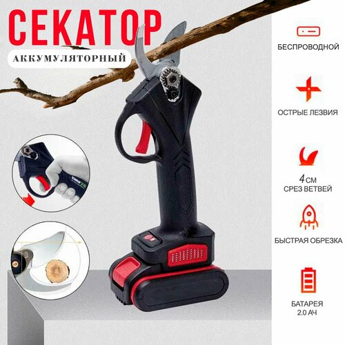 ���������� ������� ������� ���������������� � ����� �������������� 121-19 / ������� �������������� �������