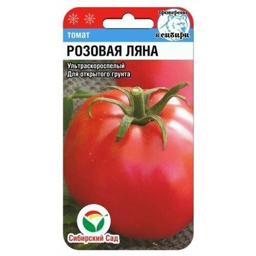 ���������� ������ ����� ������� ���� F1 20�� ��� ������ (��������� ���)