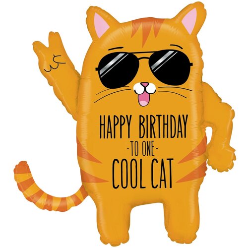  HB TO ONE COOL CAT    , -, 