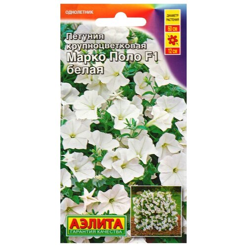 ���������� ������ ������� 