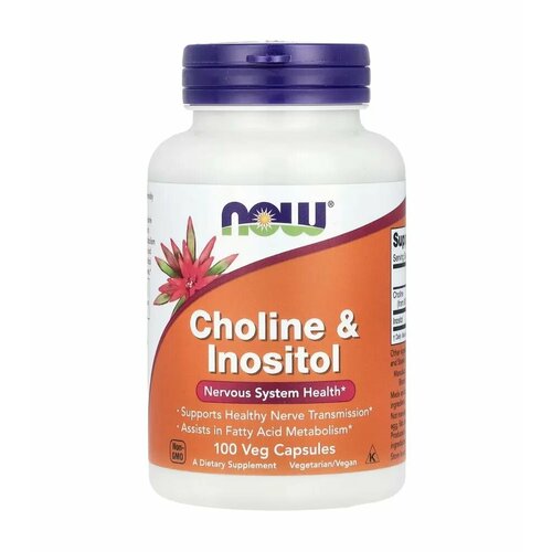 NOW Choline & Inositol    , 500mg 100 Veg Caps   , -, 