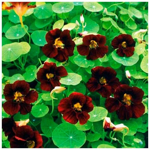 ���������� ������ ������ ��������� ������ ������ 10 ��.